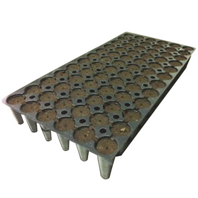 Jiffy Performa  1Pc 72 Plug