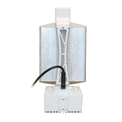 Lightspeedpro 1000W DE